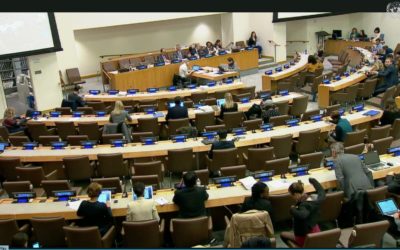 Autres activités scientifiques durant l&rsquo;année 2020